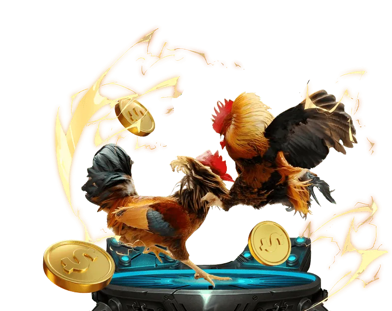 Lịch sử phát triển của NEW88.COM